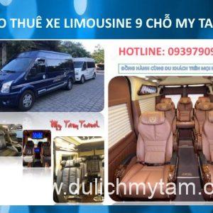 Xe 9 Cho Limousine