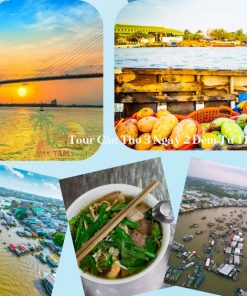 Thuê Xe Đi Cần Thơ – Giá Rẻ, An Toàn, Đa Dạng Loại Xe [Mới Nhất]